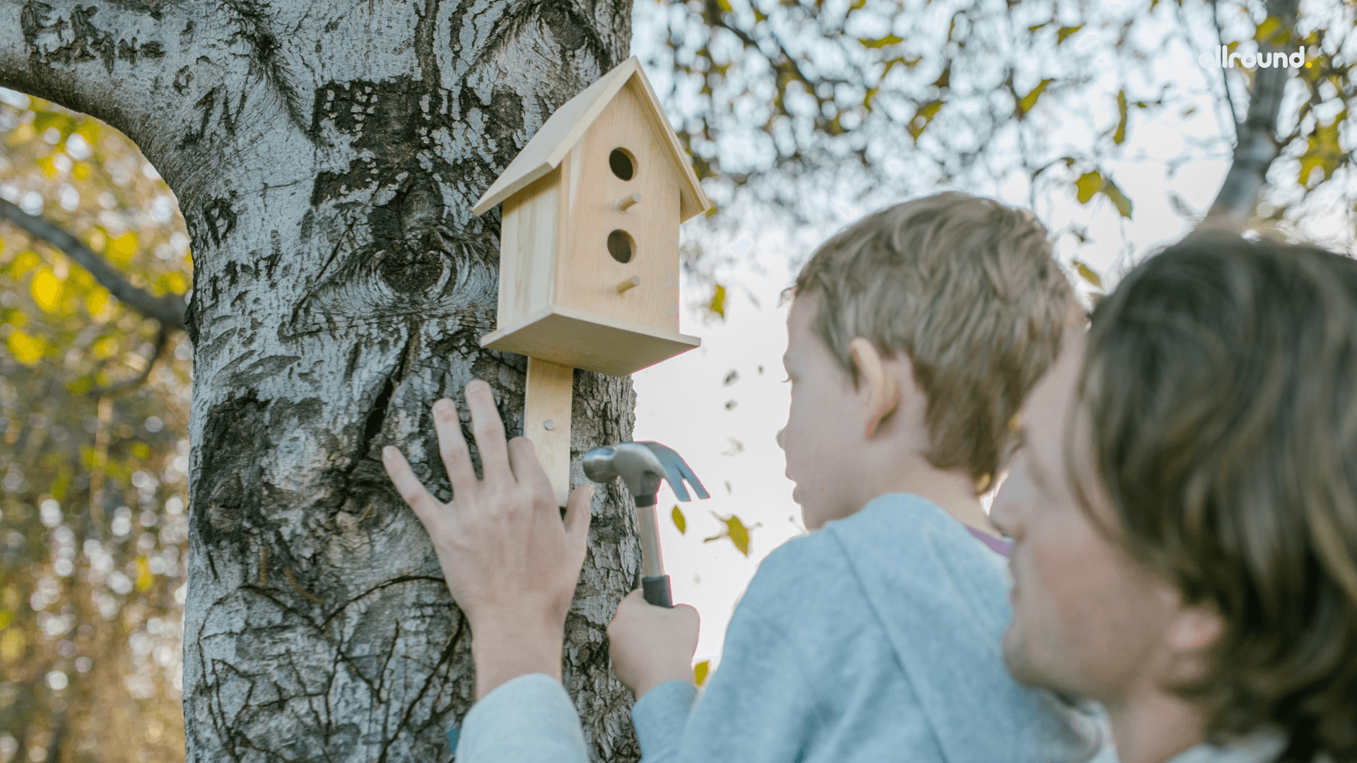 DIY BIRD FEEDERS FOR KIDS