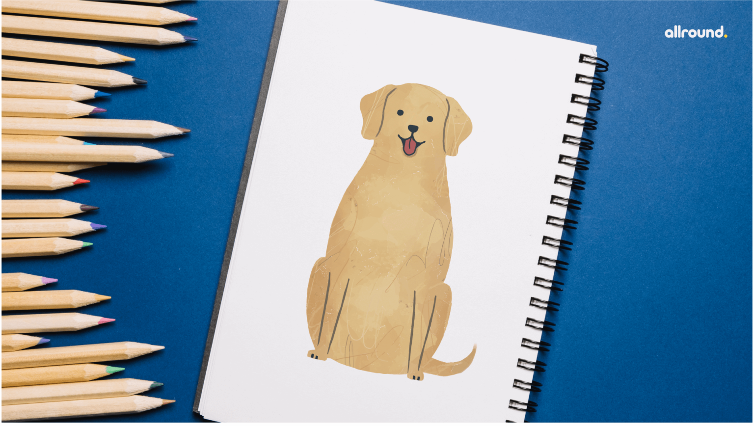 How to Draw a Labrador? Step by Step Drawing Guide for Kids