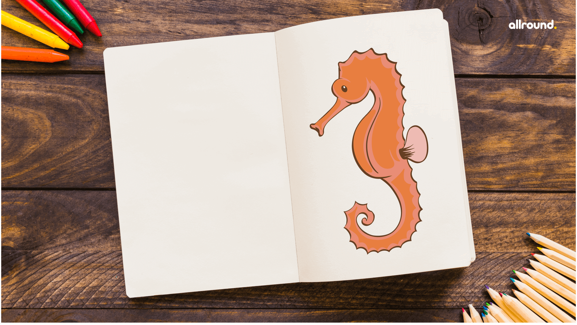 how to draw a seahorse