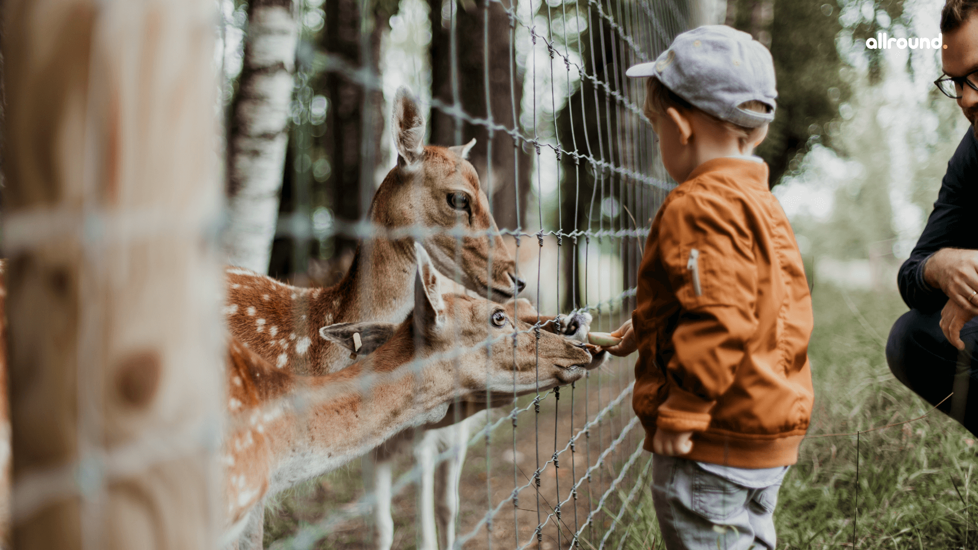 10 Fantastic Field Trip Ideas For Preschoolers